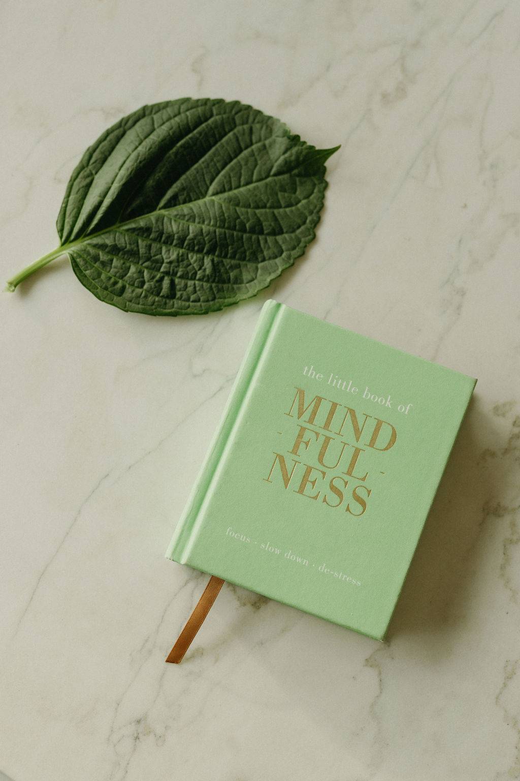 kurs mindfulness mbsr mbcl