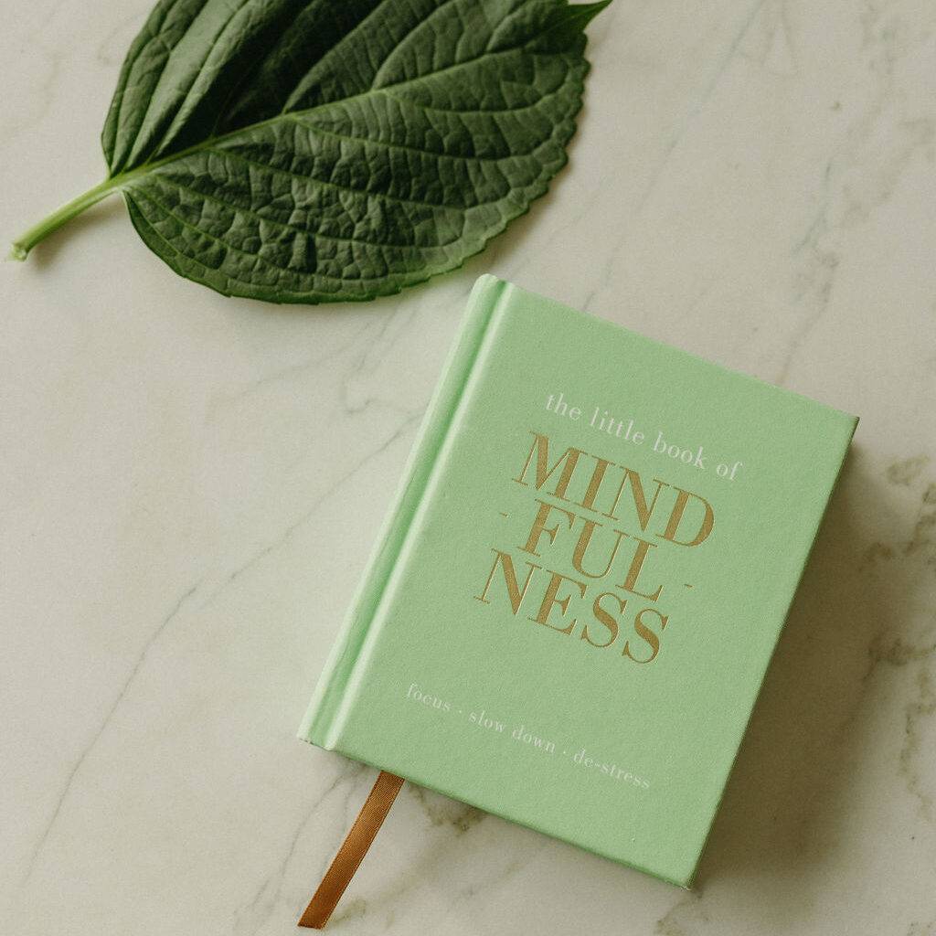Agnieszka Witkiewicz Ciesielska Moose Mental Spa kursy mindfulness mbcl mbsr